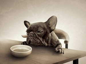 減塩で食事が美味しくない